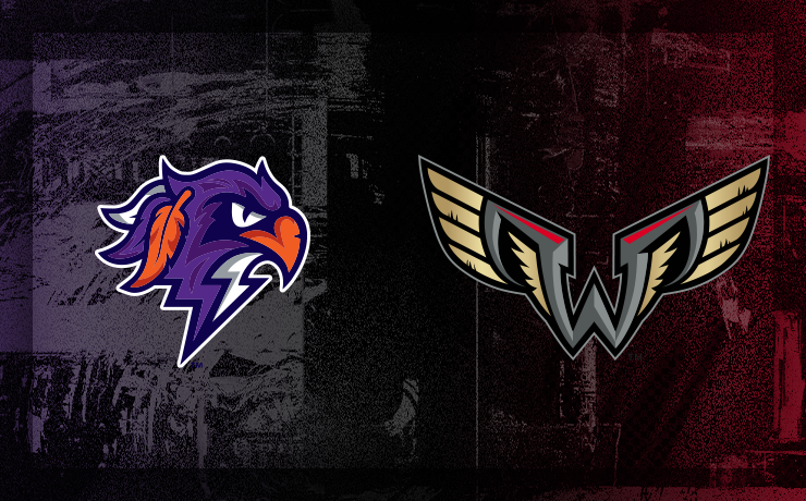 More Info for Thunderbirds vs. Wings