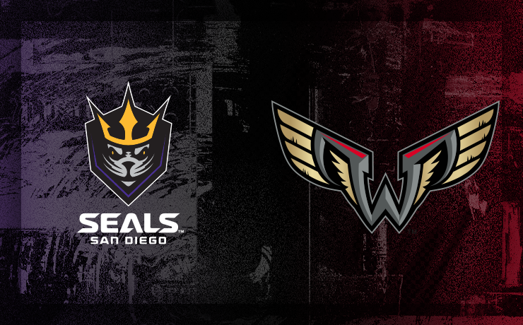 More Info for Seals vs. Wings