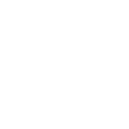 image (41).png